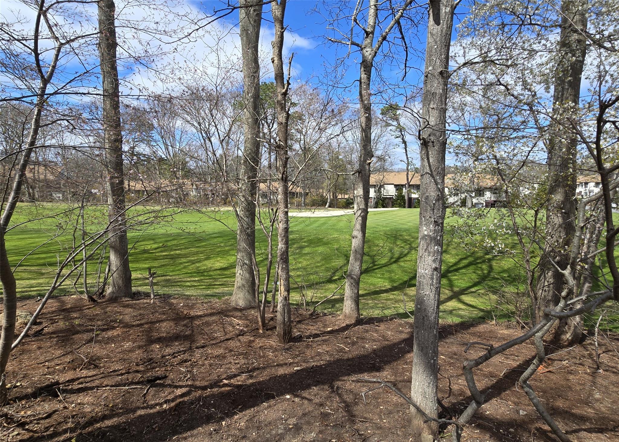 91 Birchwood Road, Coram, New York image 17