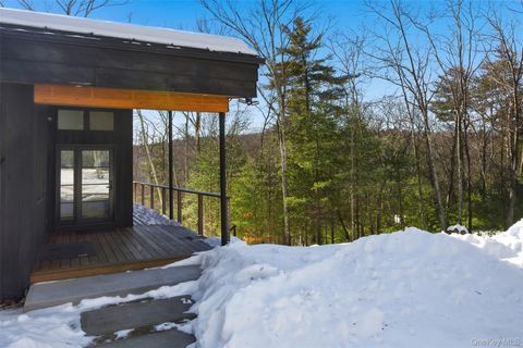 Tiny photo for 10 Hidden Mountain Lane, Stone Ridge, NY 12484 (MLS # 958012)
