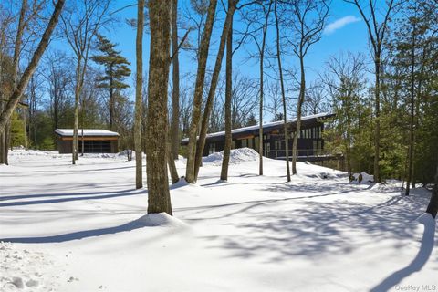 Tiny photo for 10 Hidden Mountain Lane, Stone Ridge, NY 12484 (MLS # 958012)