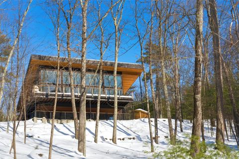 Tiny photo for 10 Hidden Mountain Lane, Stone Ridge, NY 12484 (MLS # 958012)