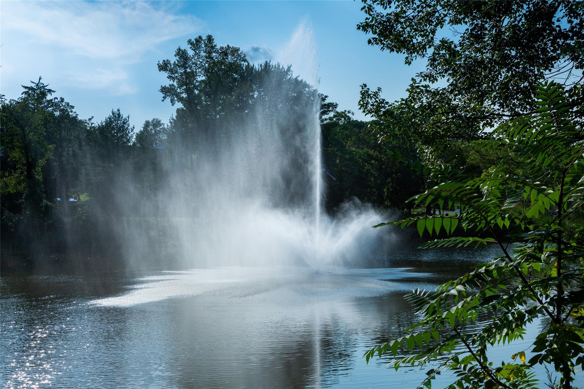 18 Hungerford Road, Briarcliff Manor, New York image 44