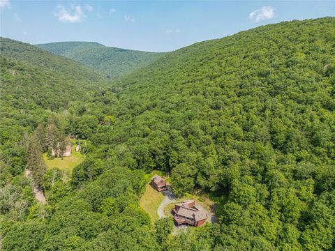 Tiny photo for 110 Lost Clove Road, Big Indian, NY 12410 (MLS # 815970)