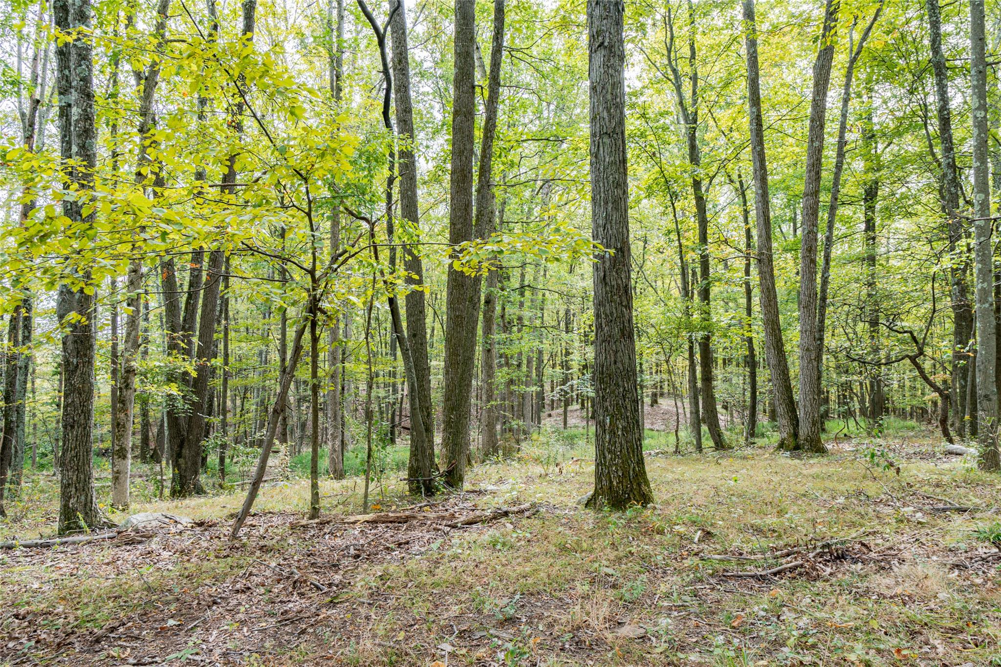 598 S Mountain Road, Gardiner, New York image 6