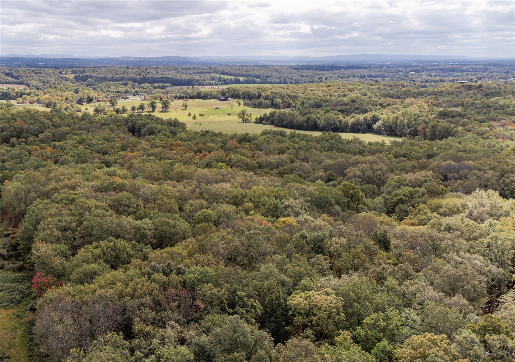 598 S Mountain Road, Gardiner, New York image 11