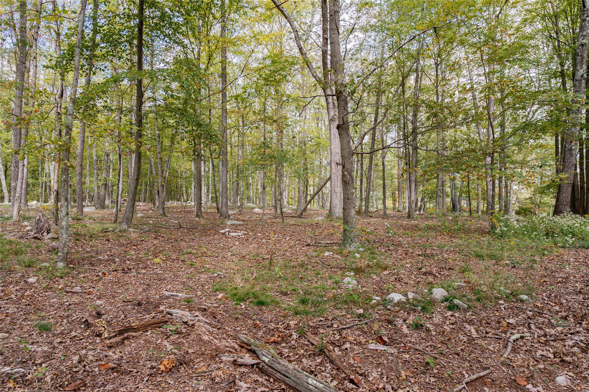 598 S Mountain Road, Gardiner, New York image 8