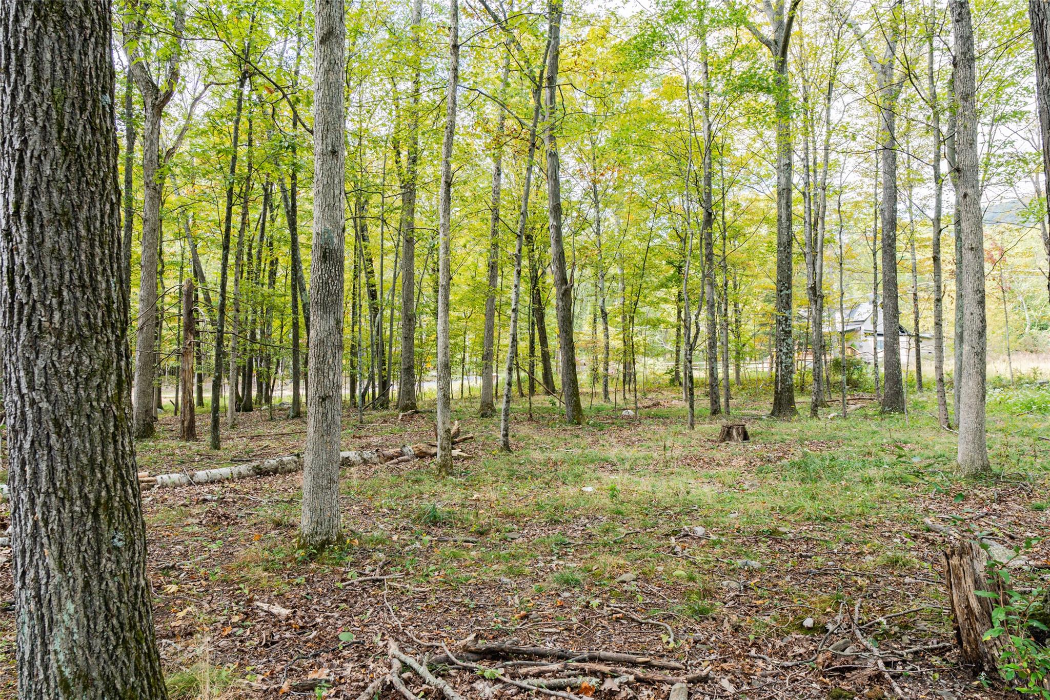 598 S Mountain Road, Gardiner, New York image 5