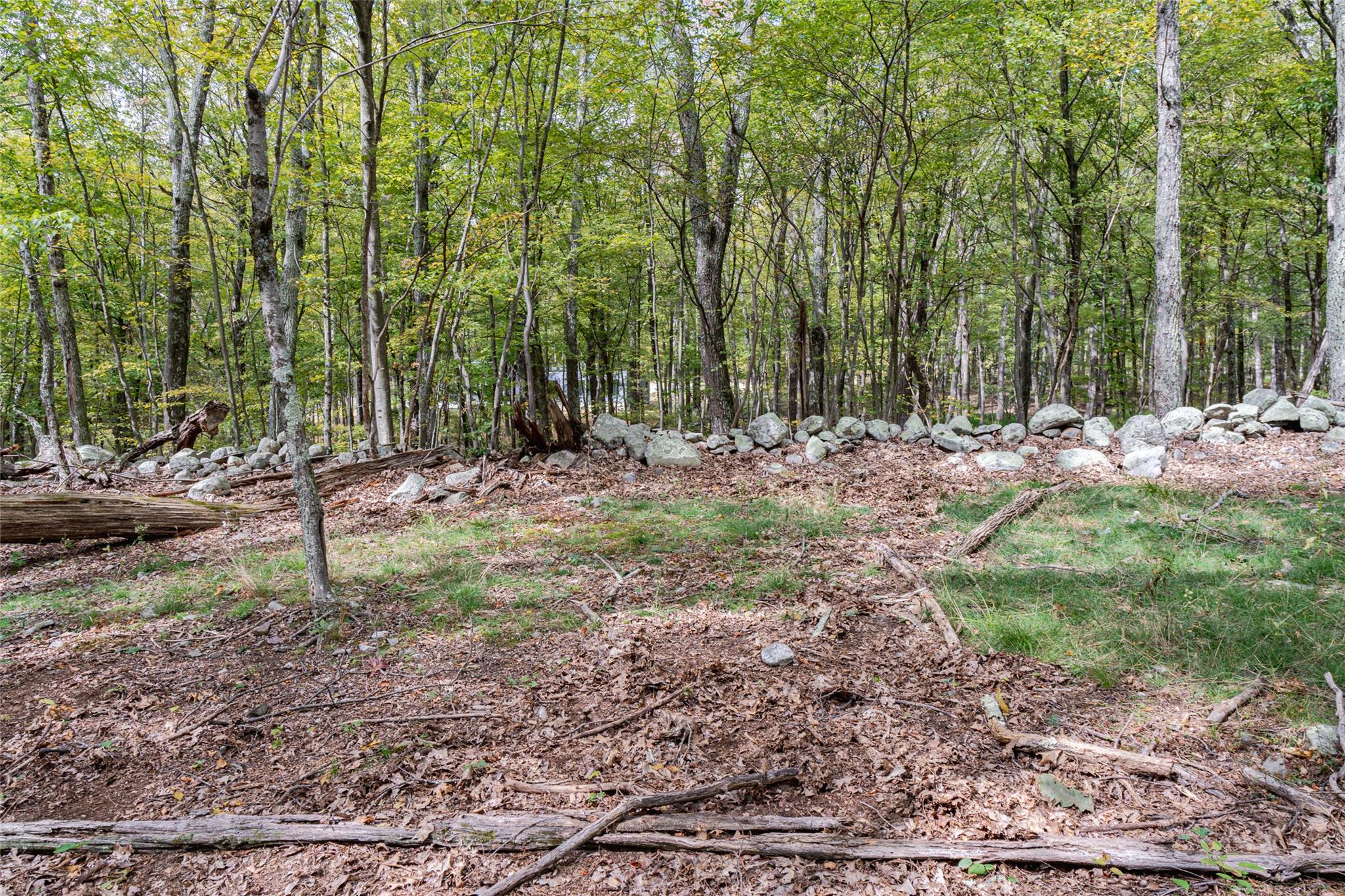 598 S Mountain Road, Gardiner, New York image 9