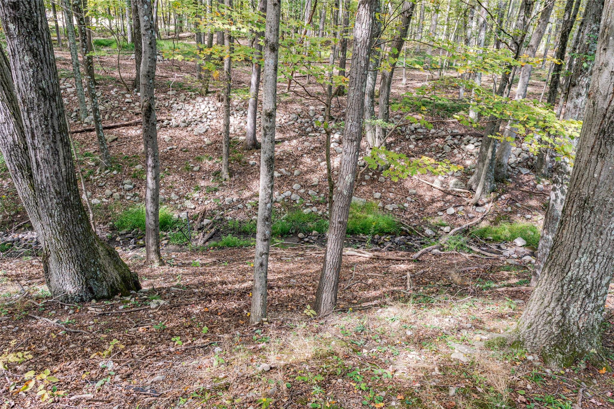 598 S Mountain Road, Gardiner, New York image 7