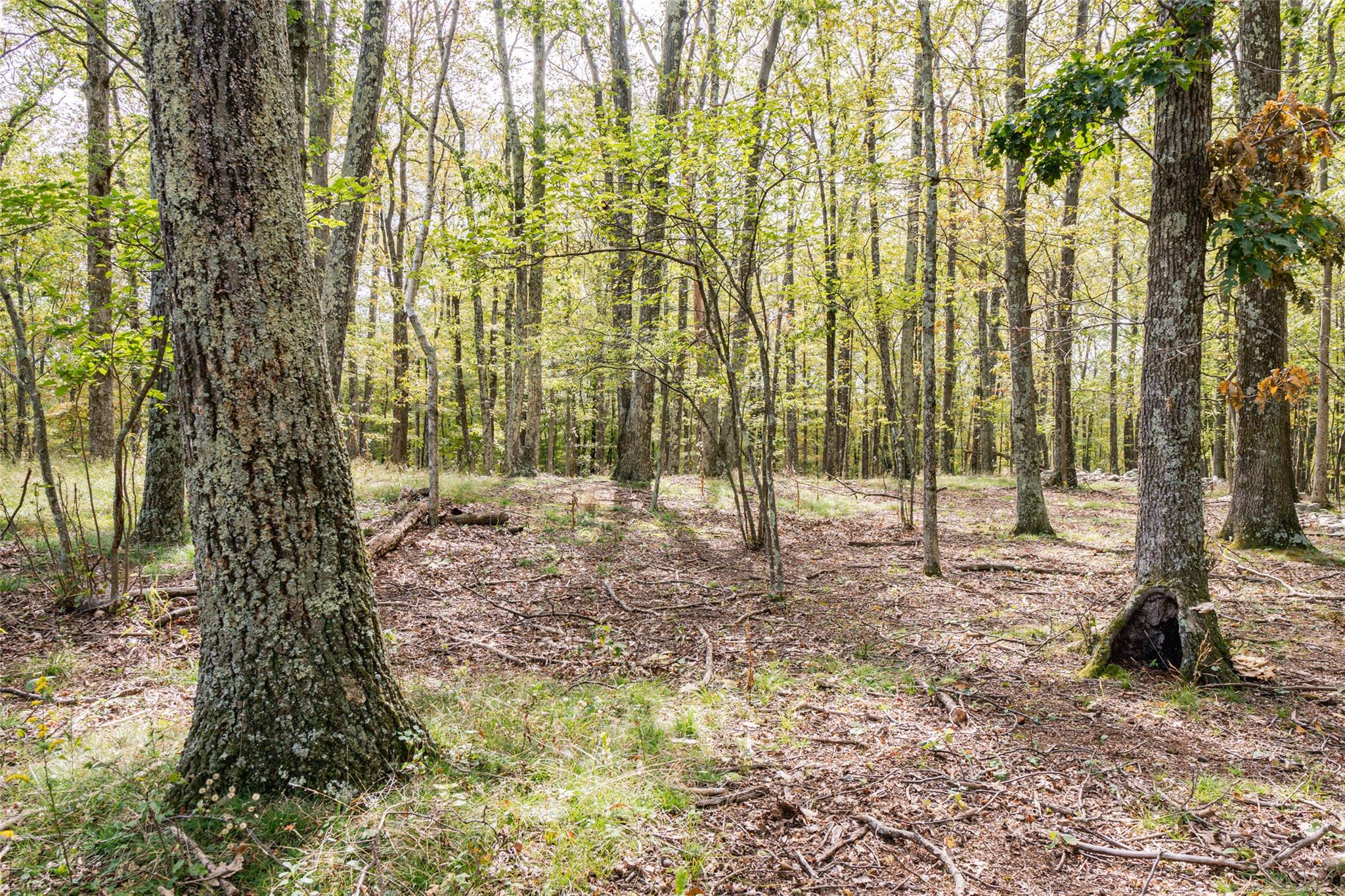 598 S Mountain Road, Gardiner, New York image 2