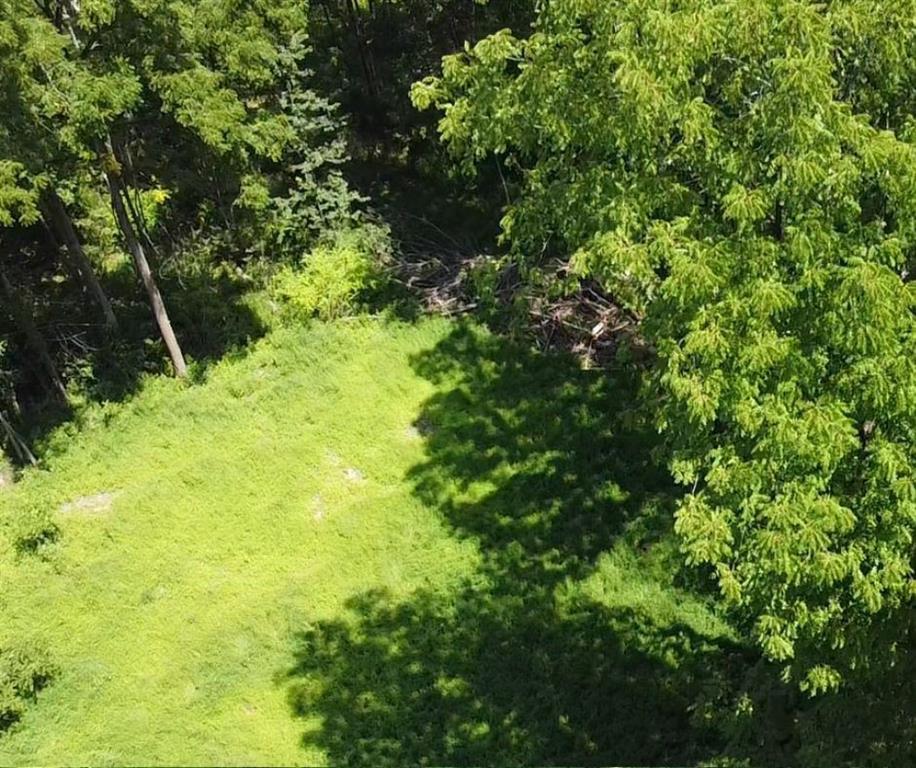Phillipsport Road, Wurtsboro, New York image 3
