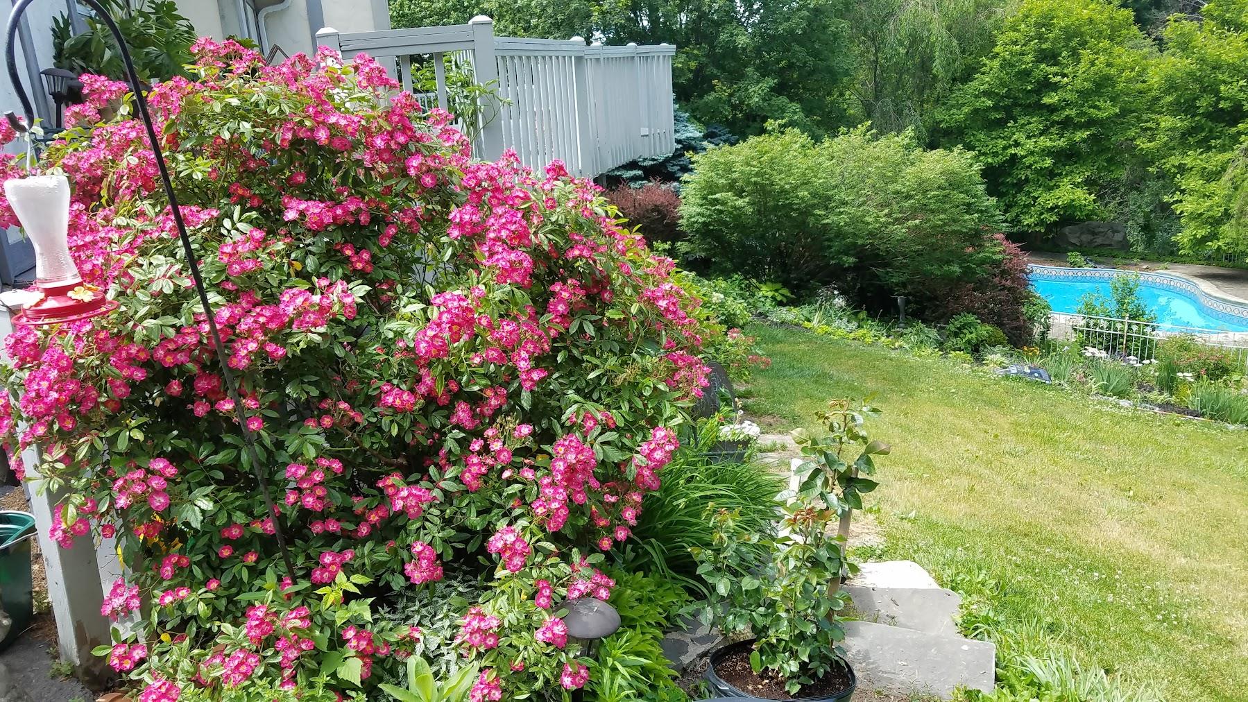 59 Noble Hill Drive, Poughquag, New York image 38