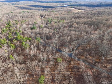 Vacant Land For Sale - Lenni Lenape Avenue<br/> Sullivan County, Wurtsboro, NY 12790
