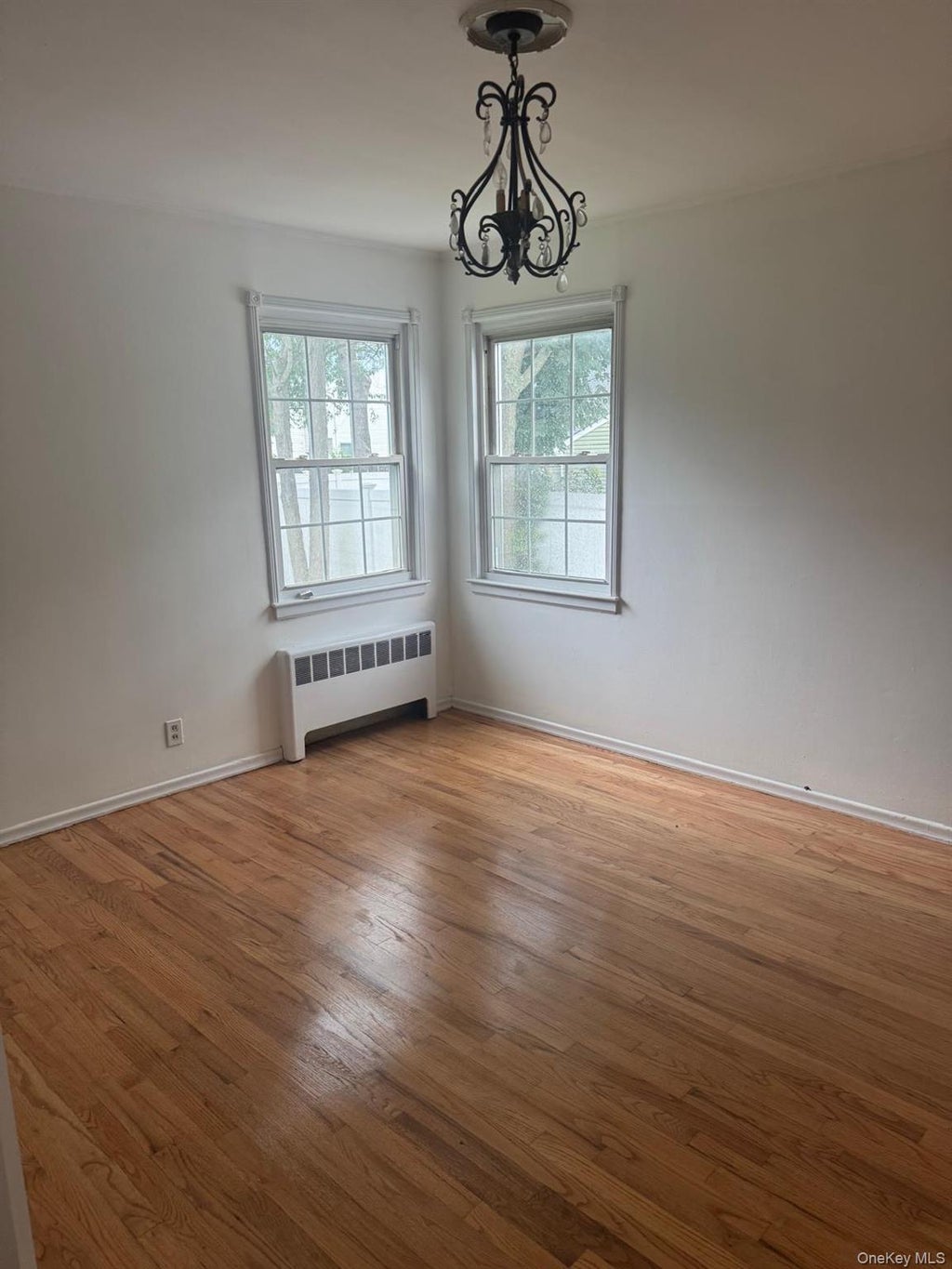 Photo of 14 Larch Street, Hicksville, NY 11801 (MLS # 1029511)