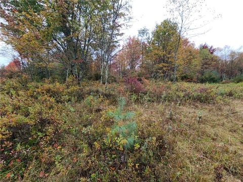 Vacant Land For Sale - 116 Voss Road<br/> Claryville, NY 12725