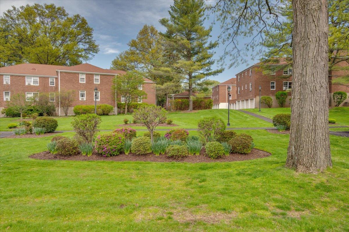 10 Bryant Crescent #2A, White Plains, New York image 12