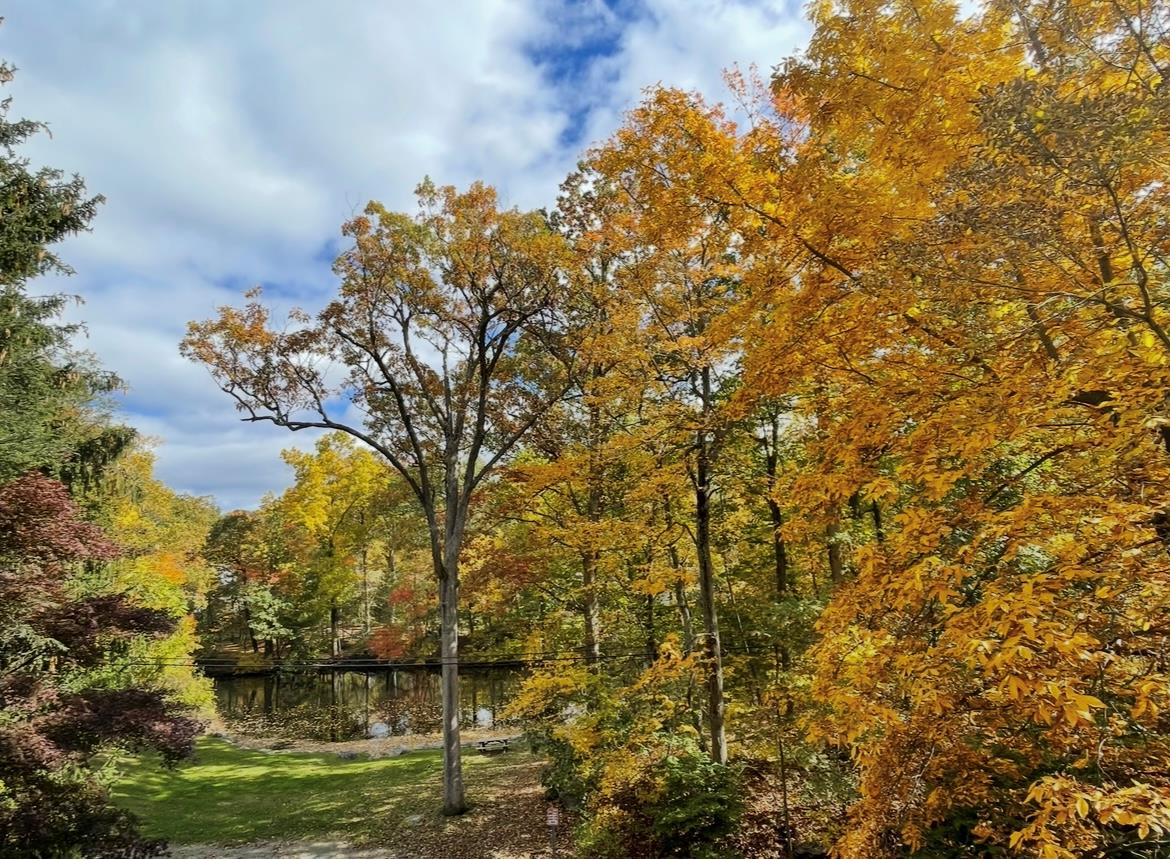 353 Lake Shore Drive, Pleasantville, New York image 35