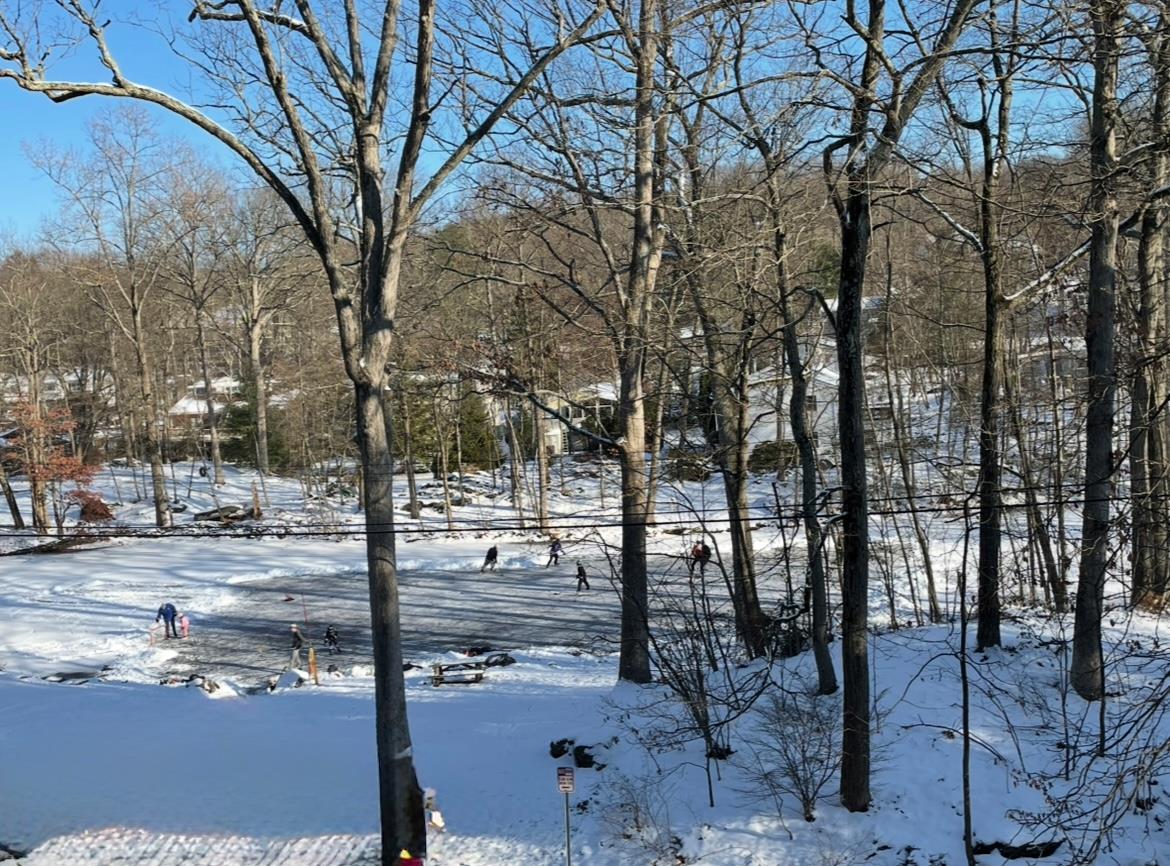 353 Lake Shore Drive, Pleasantville, New York image 36