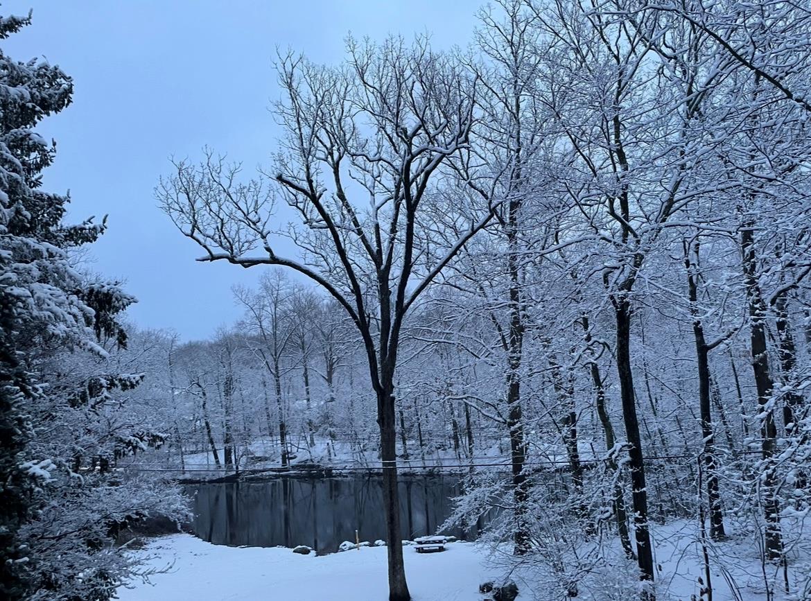 353 Lake Shore Drive, Pleasantville, New York image 37
