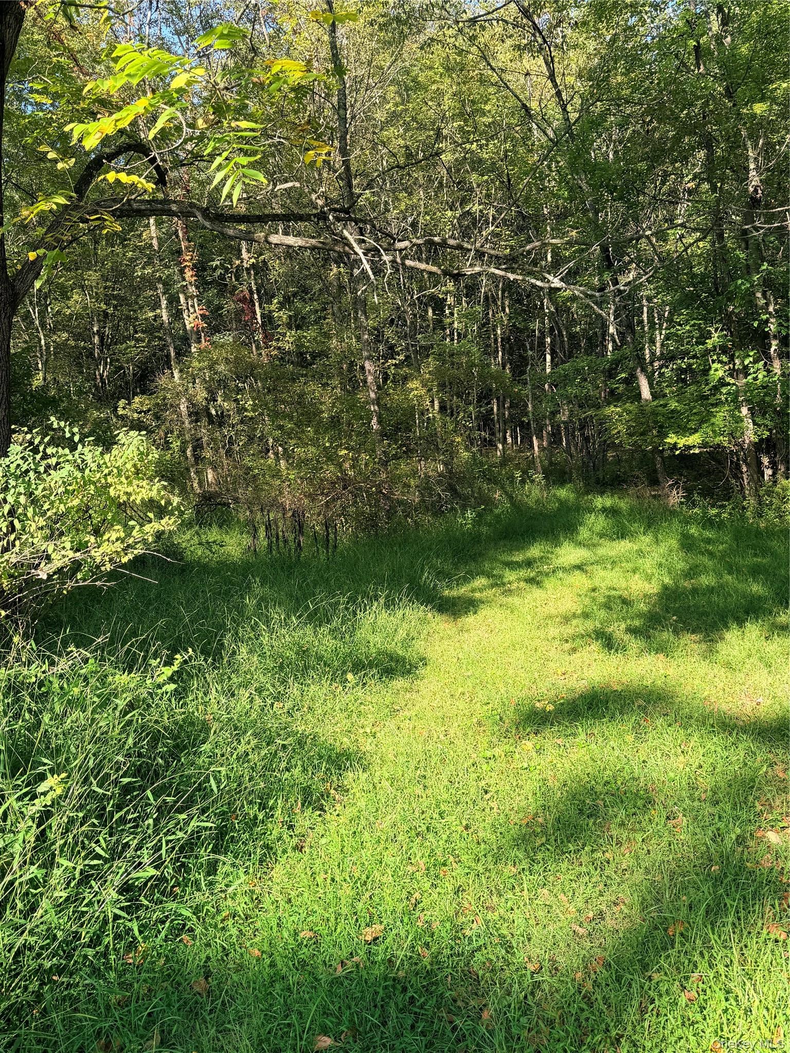 N Fostertown Drive
