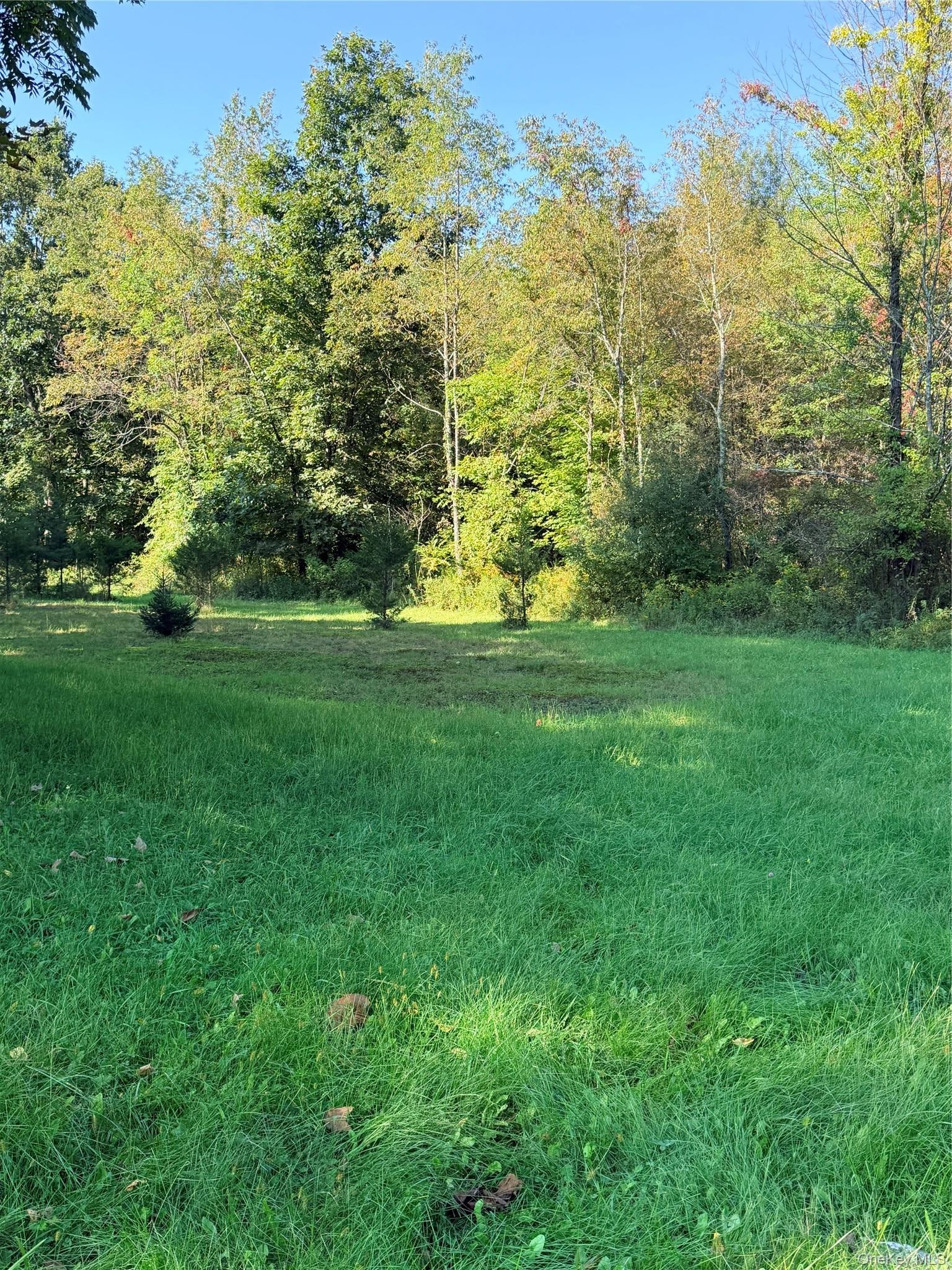 N Fostertown Drive