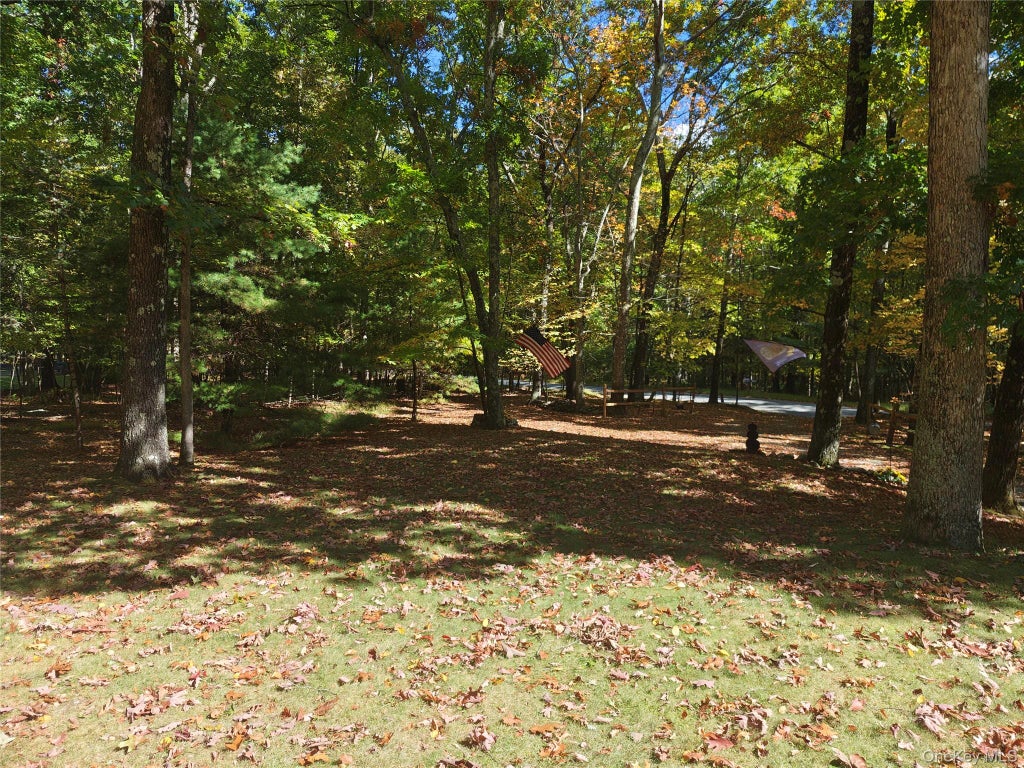 Photo of 19 Franke Road, Huguenot, NY 12746 (MLS # 1059314)