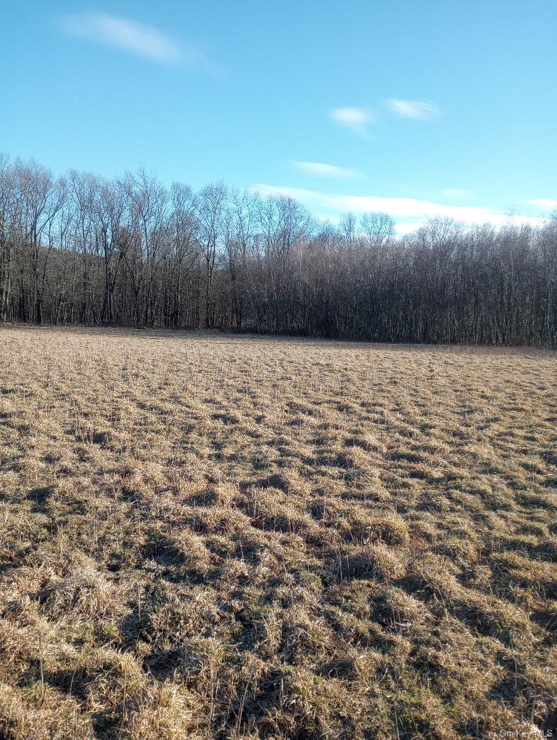 Myers RD. Westtown, NY 10 Myers Road