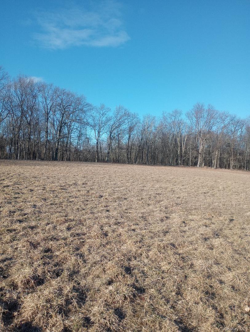 Myers RD. Westtown, NY 10 Myers Road