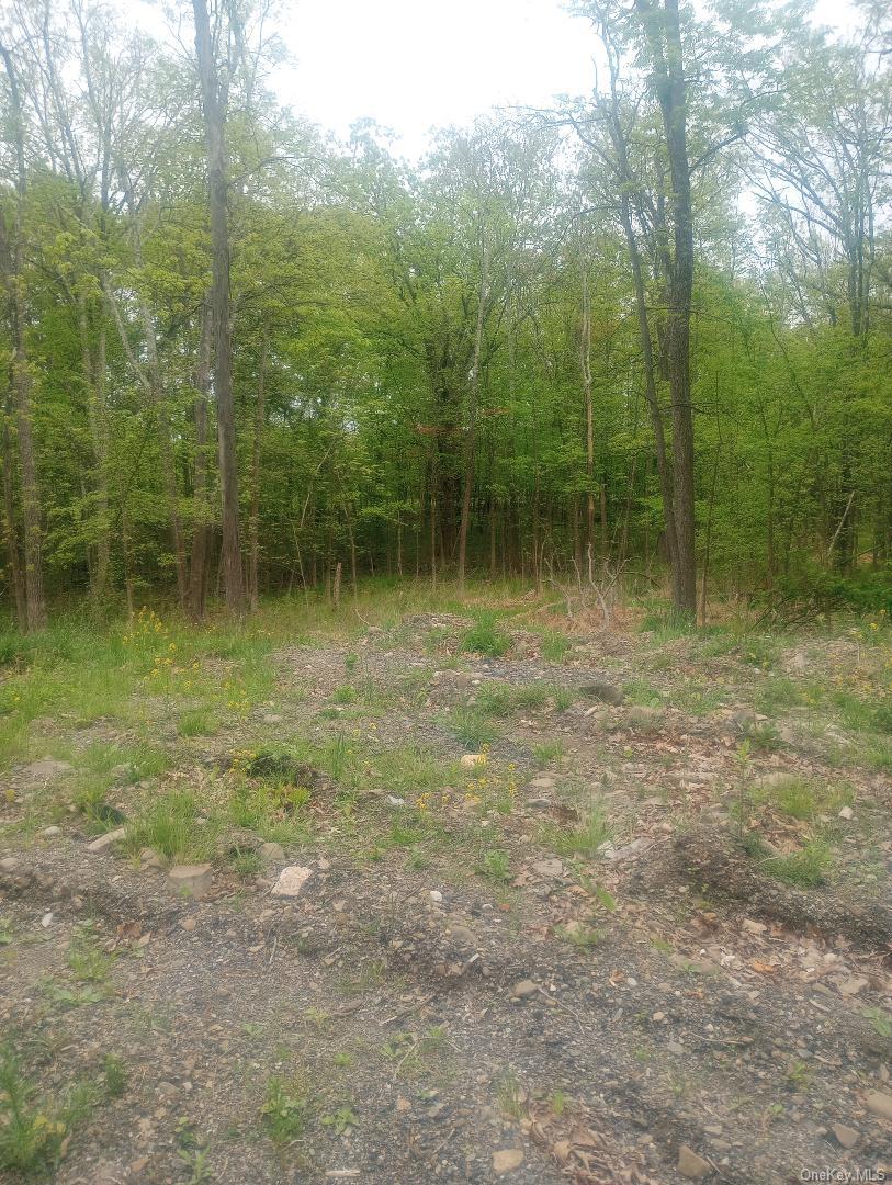 Myers RD. Westtown, NY 10 Myers Road