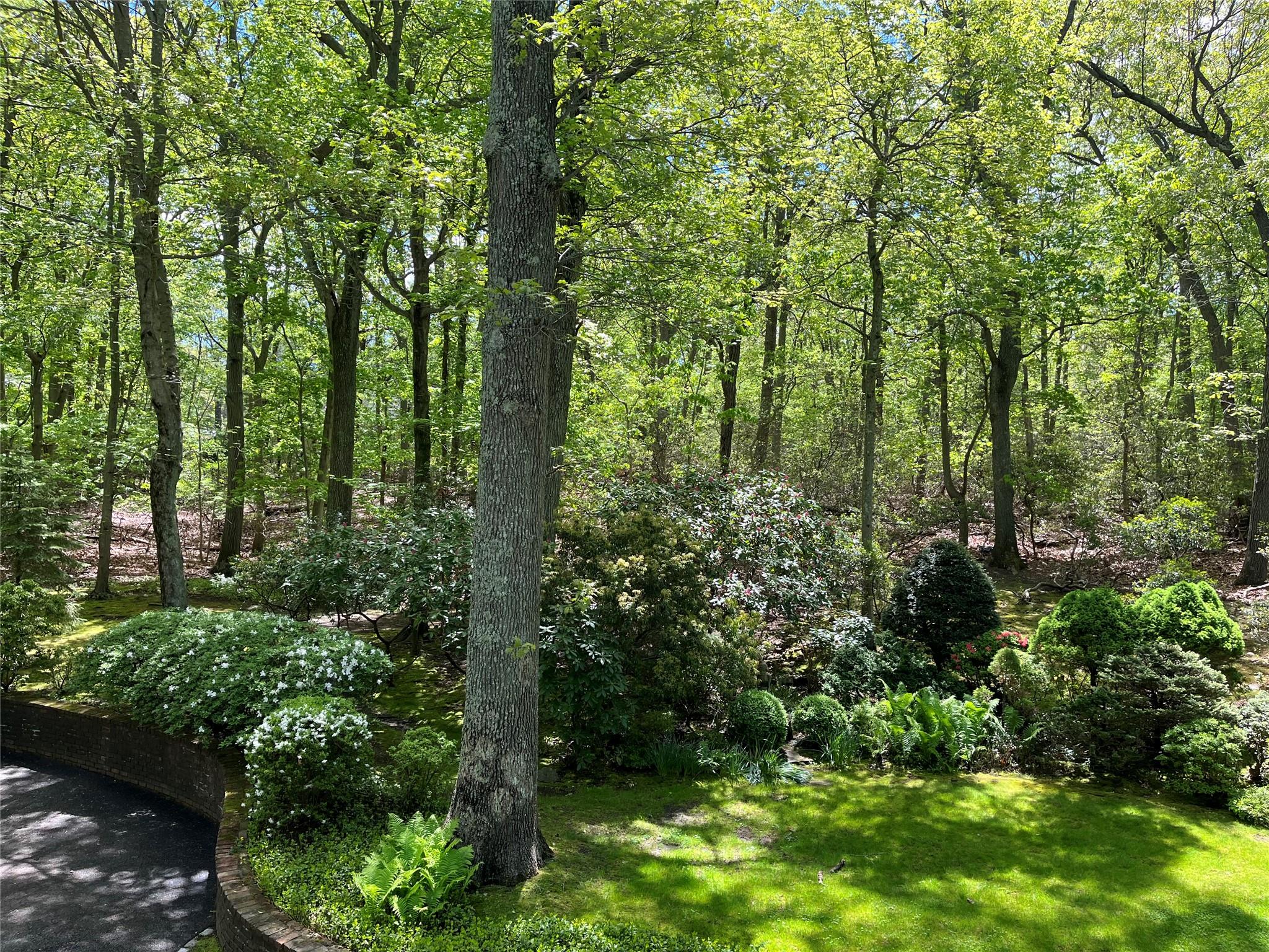 22 Druid Hill Road, Port Jefferson, New York image 38