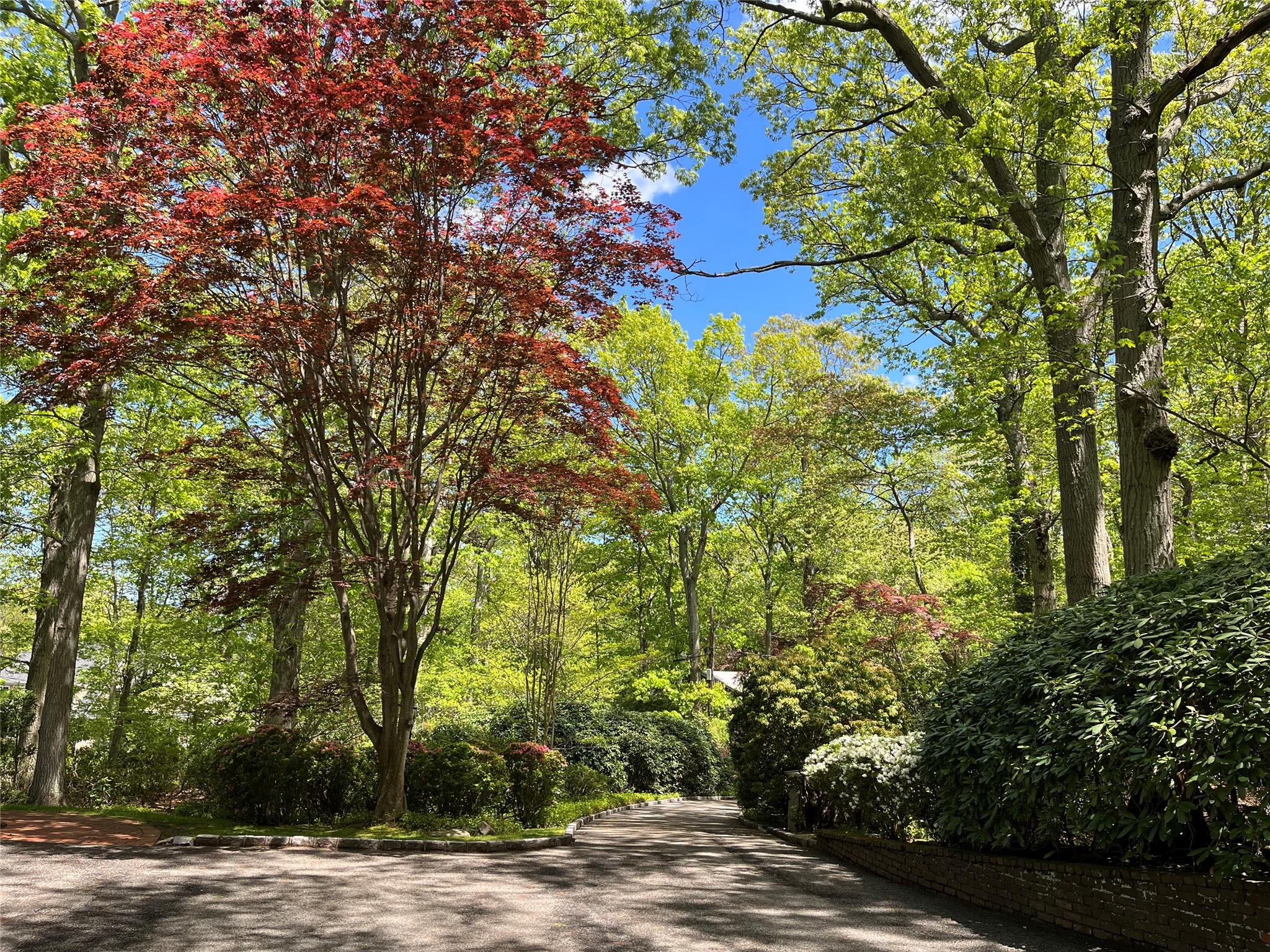 22 Druid Hill Road, Port Jefferson, New York image 3