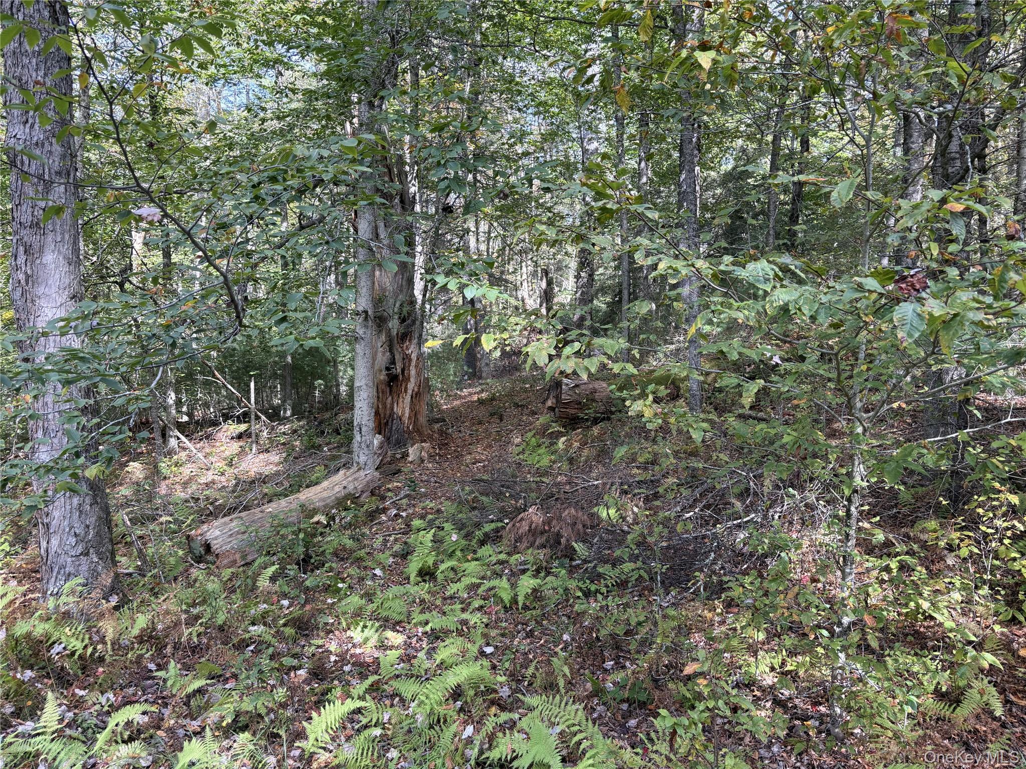 17 Lot 17 Desmond Crossing