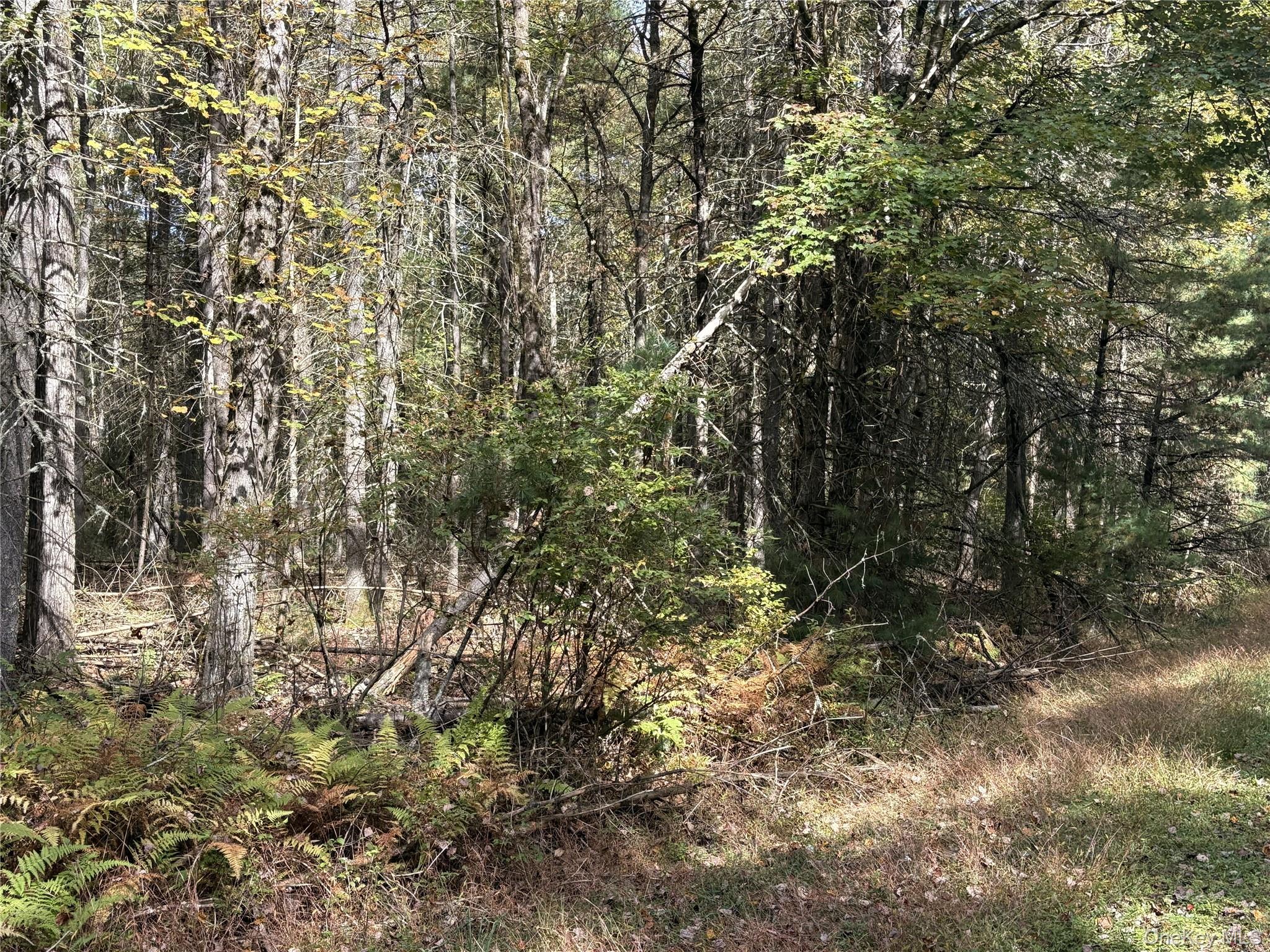 17 Lot 17 Desmond Crossing