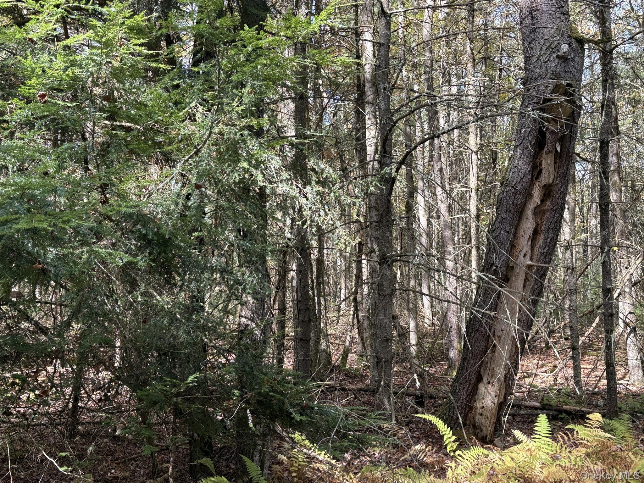 17 Lot 17 Desmond Crossing