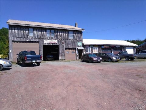 79 Elk Point Road 83 Liberty NY 12758