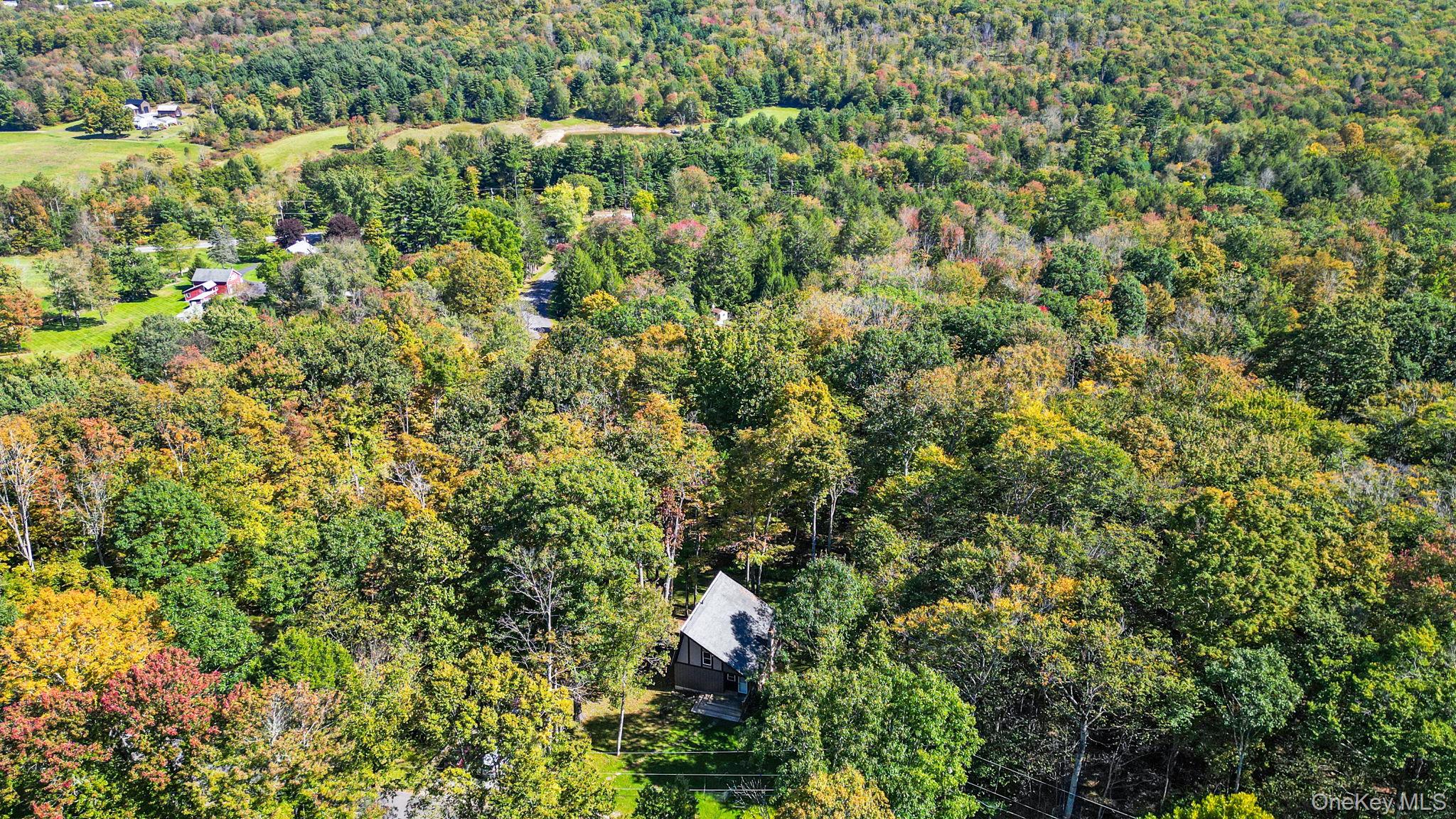 3 Rennison Road
