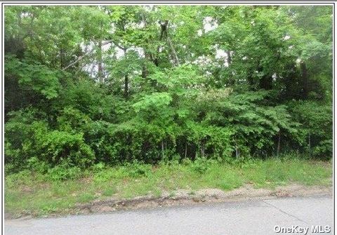 Vacant Land For Sale - Mount Vernon Avenue<br/> Patchogue, NY 11772