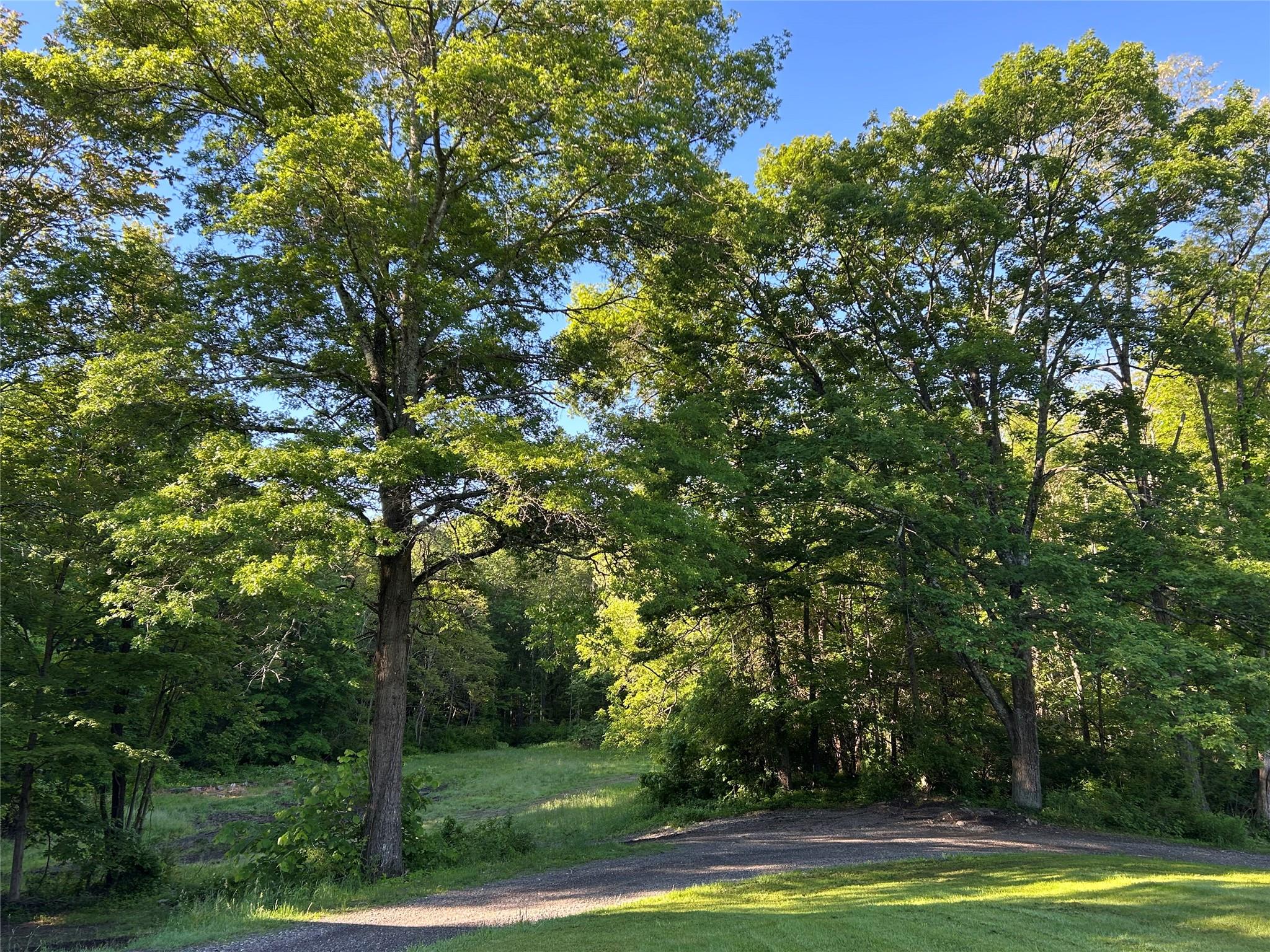 325 Metzger Road, Rhinebeck, New York image 12