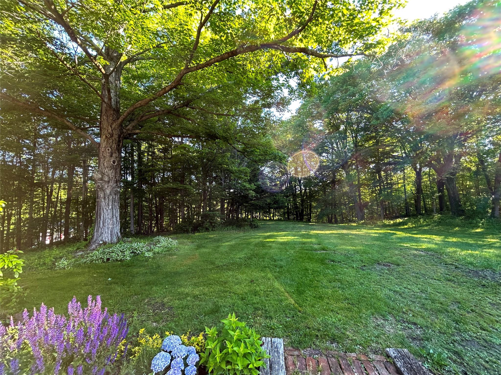 325 Metzger Road, Rhinebeck, New York image 14