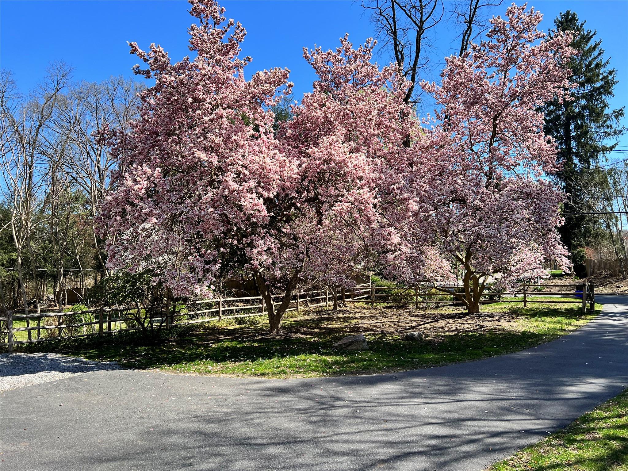 74 Seven Bridges Road, Chappaqua, New York image 22