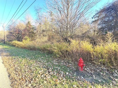 16 Ryan Drive Hopewell Junction NY 12533