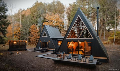 521 Perry Road Swan Lake NY 12720