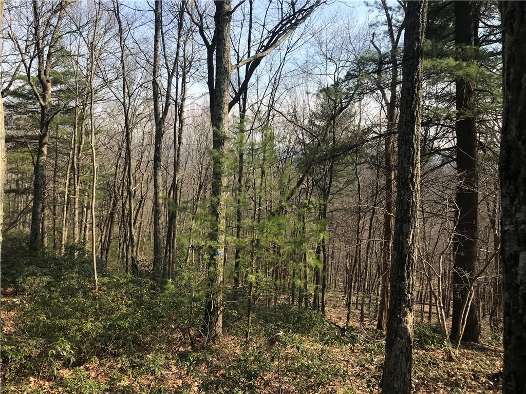 State Route 209