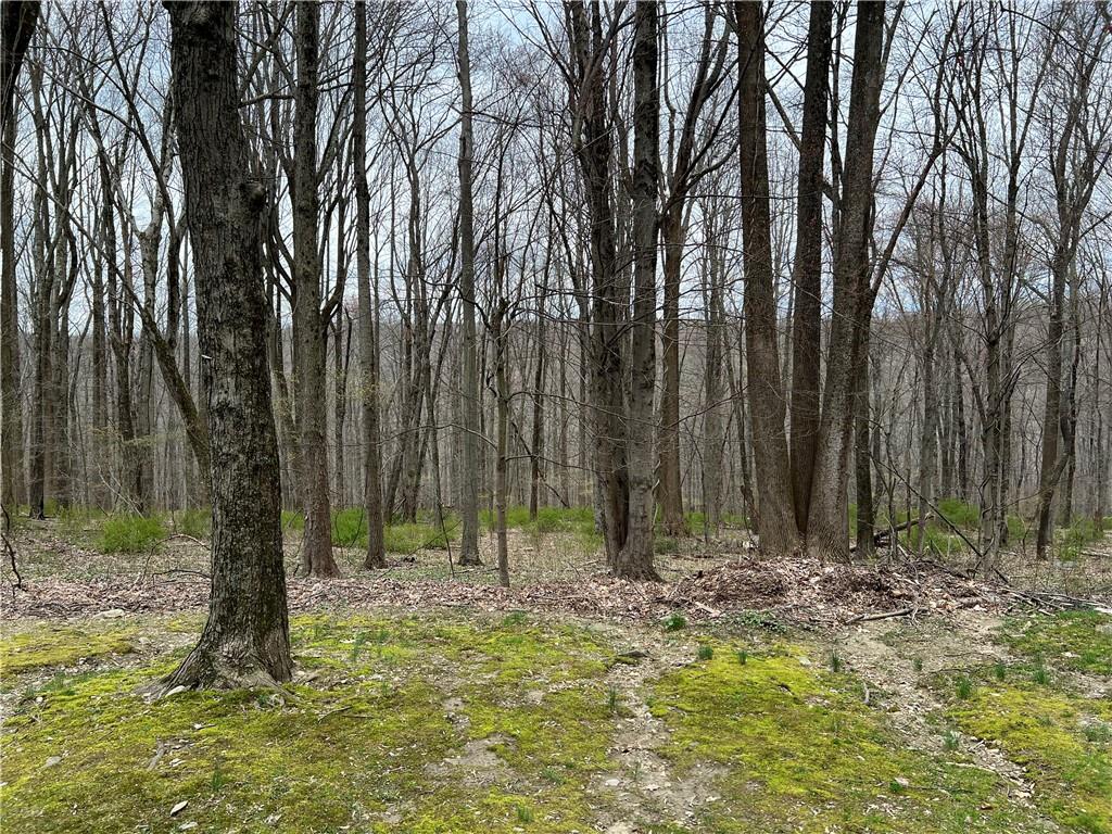 3032 Manor Street, Yorktown Heights, New York image 7