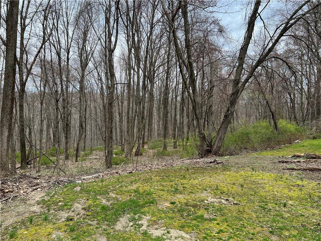 3032 Manor Street, Yorktown Heights, New York image 6