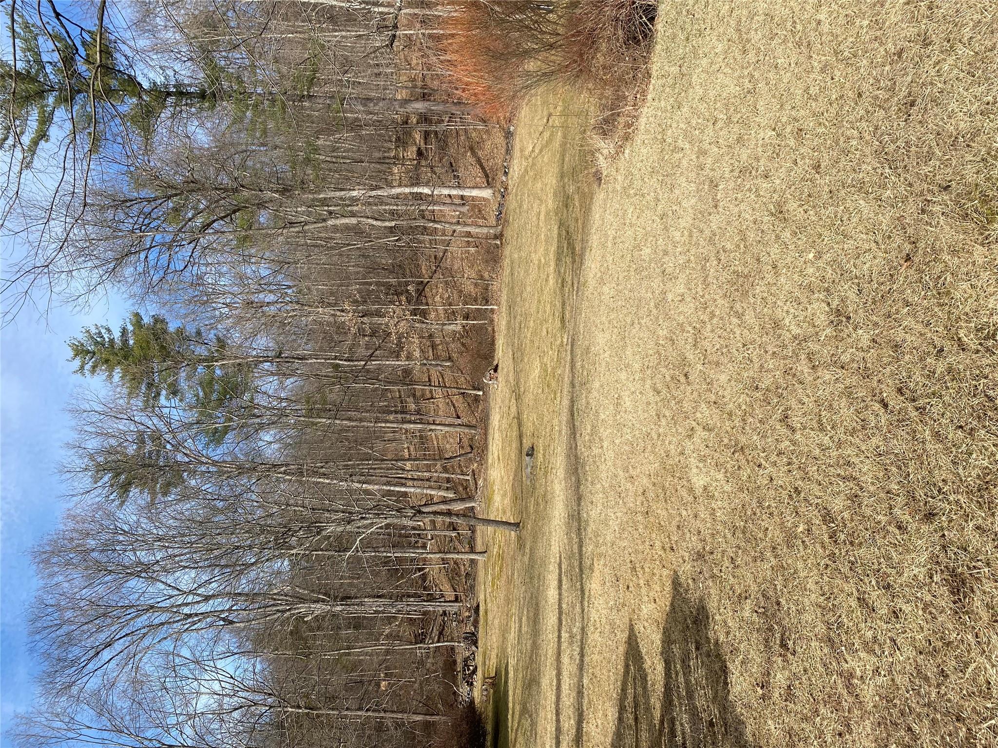 168 N Prospect Road, Monroe, New York image 15