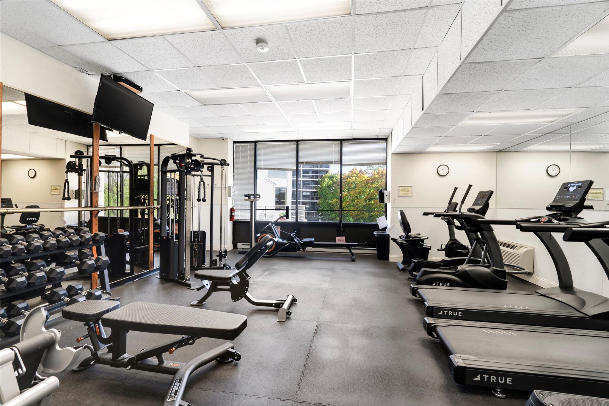 300 High Point Drive #313, Hartsdale, New York image 30