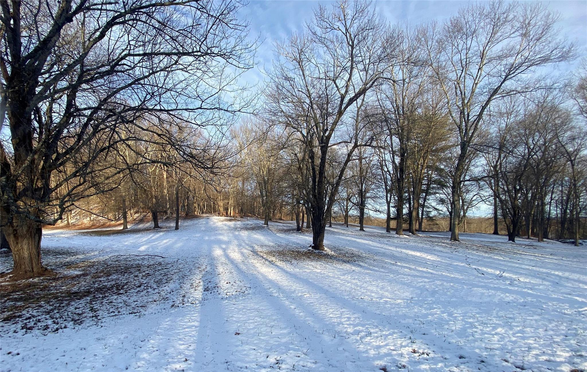 Mt. Rutsen, Rhinebeck, New York image 3