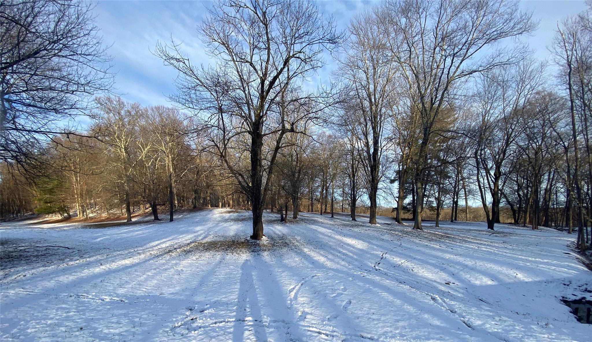 Mt. Rutsen, Rhinebeck, New York image 1