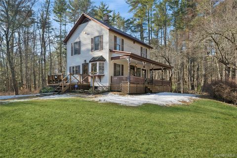 37 Nober Strunk Road Narrowsburg NY 12764
