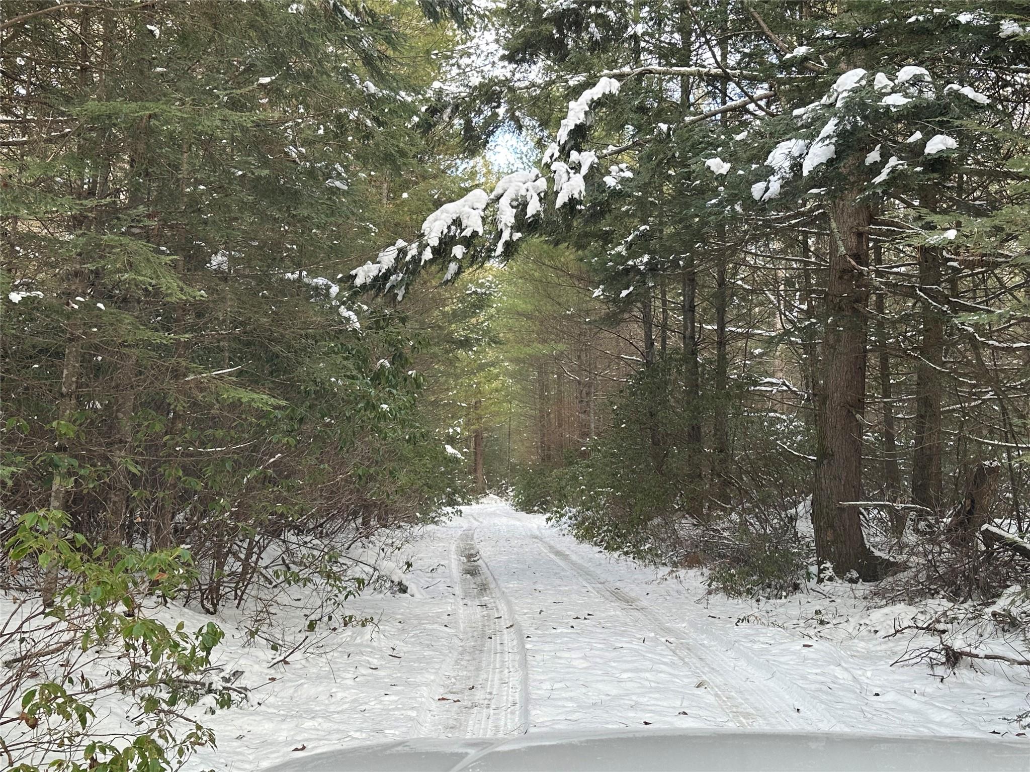 Ulster Heights Road, Wawarsing, New York image 1